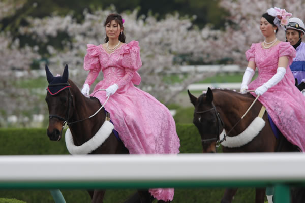 ファイル 29-1.jpg